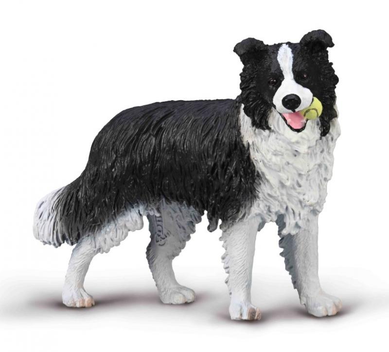 CollectA - Border Collie