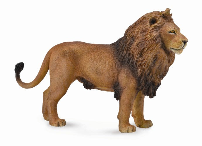 CollectA - African Lion - Timbertime Toys