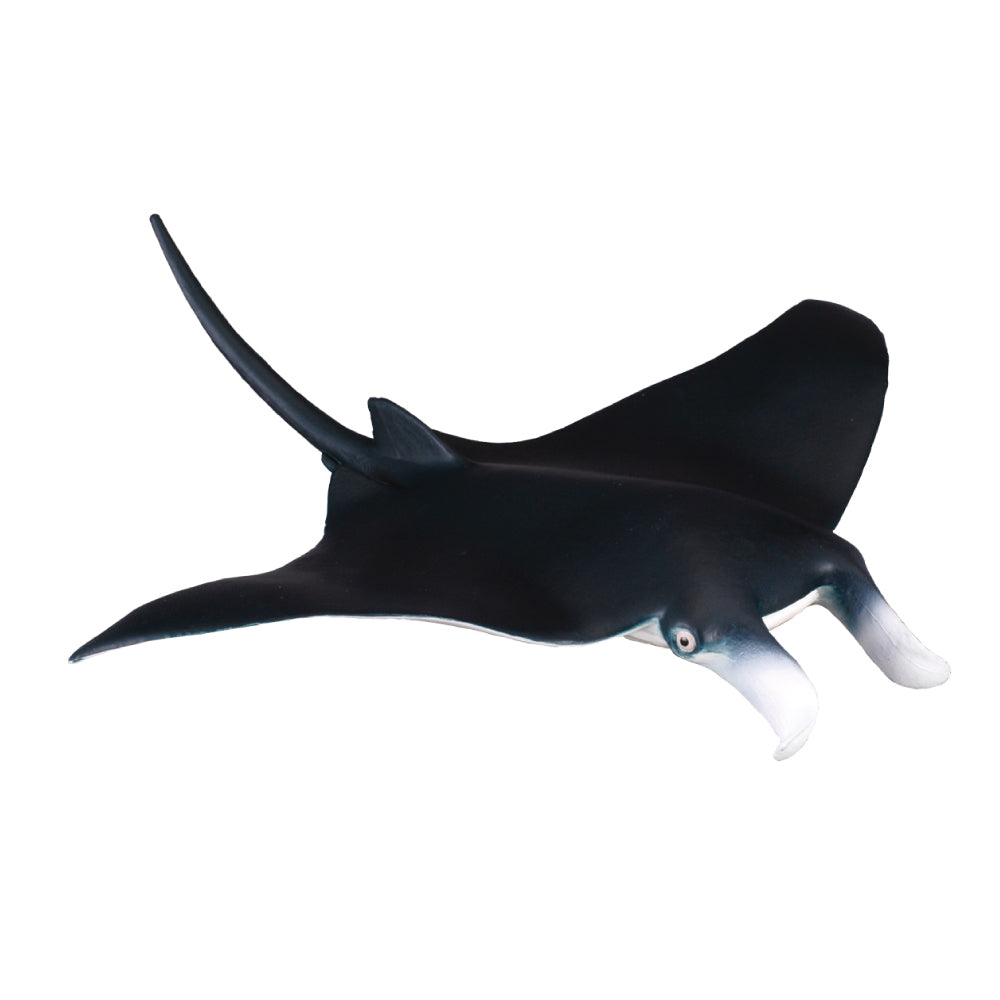 CollectA - Manta Ray
