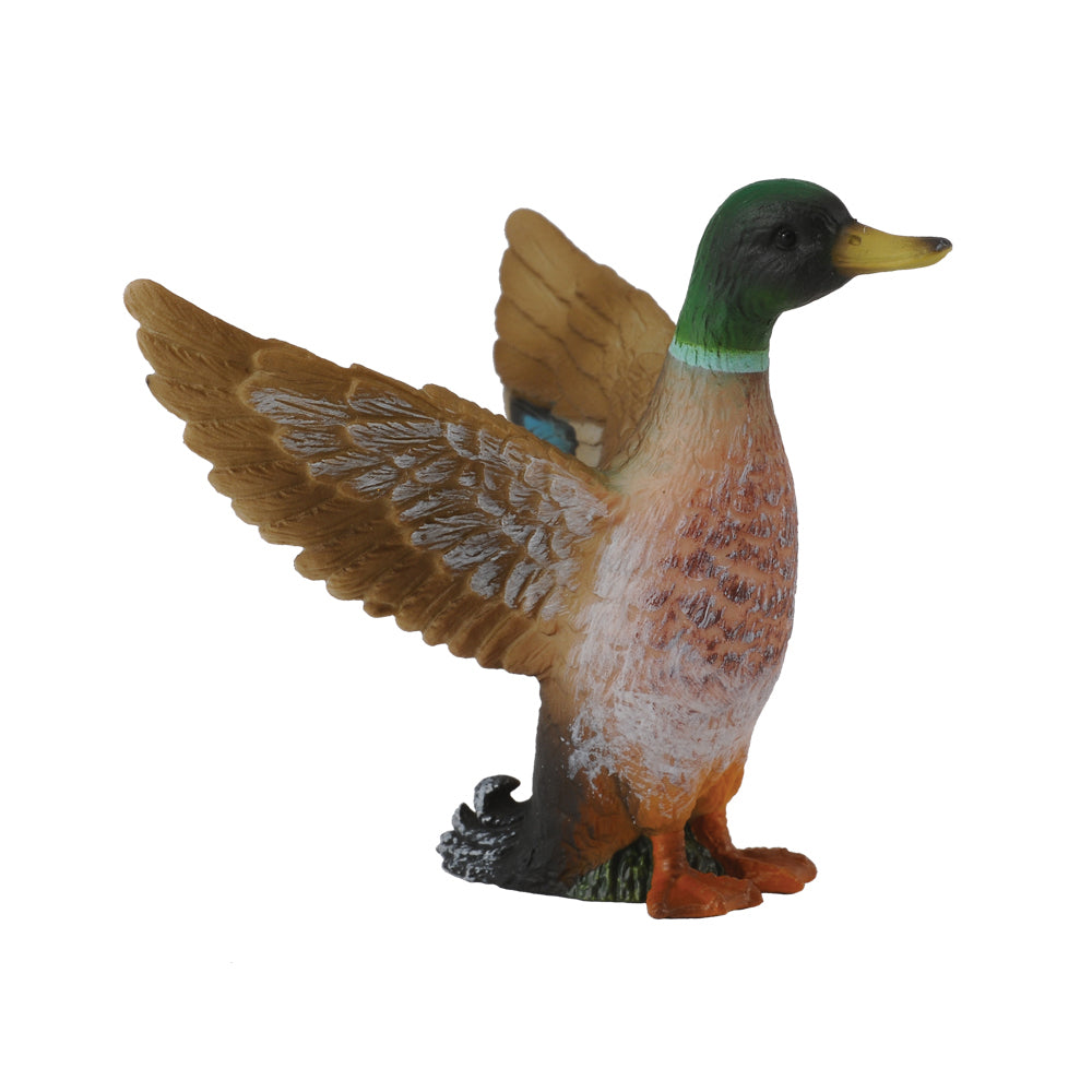 CollectA - Mallard Duck (M)