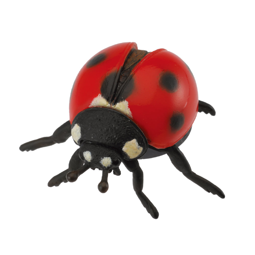 CollectA - Ladybird