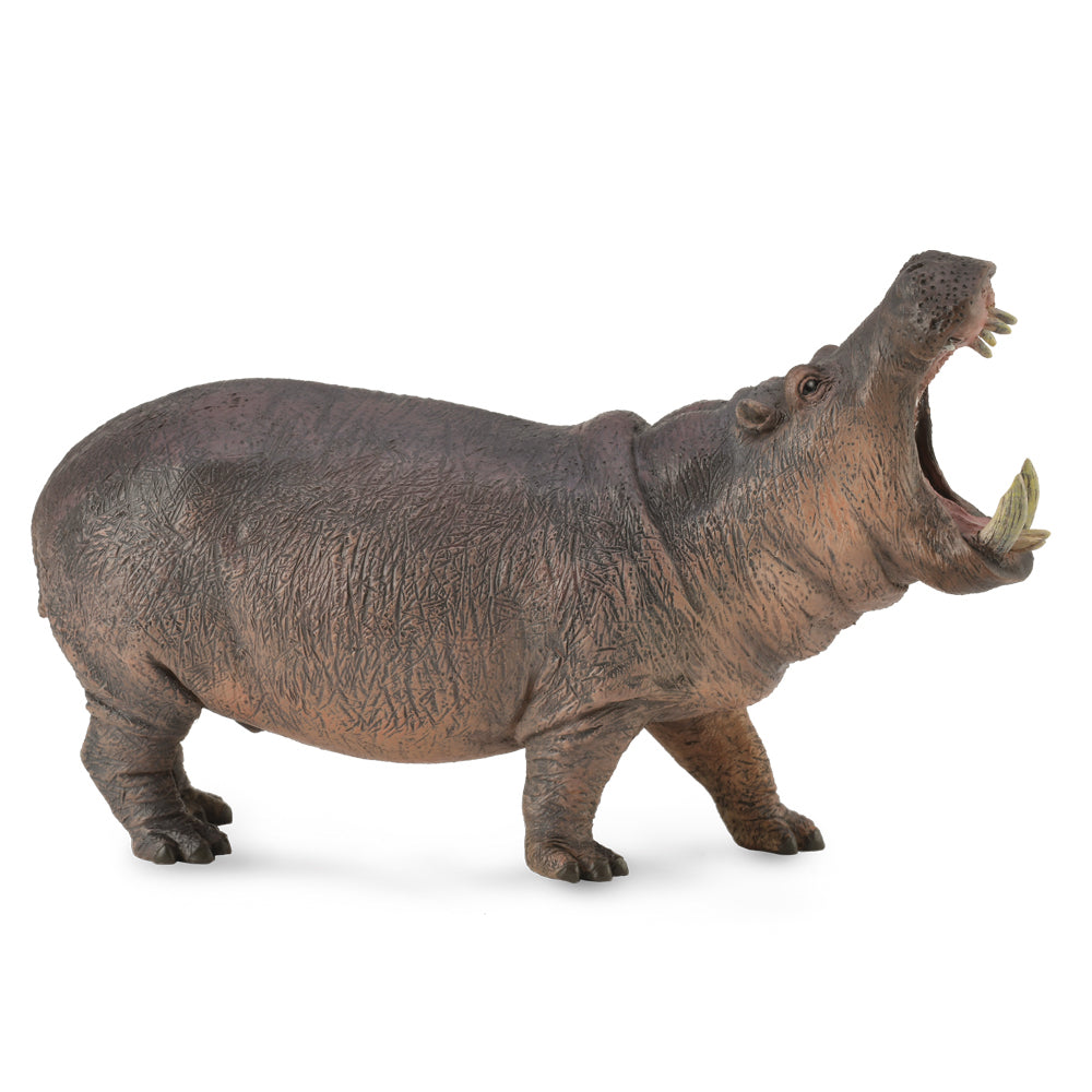 CollectA - Hippopotamus - Timbertime Toys