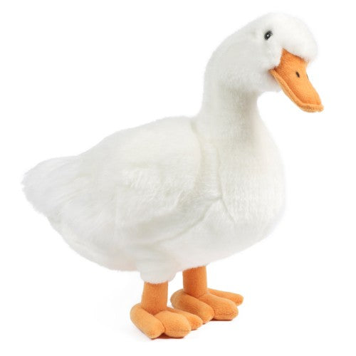 Living Nature - Duck