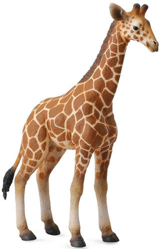 CollectA Animal Figurine - Giraffe Calf - Timbertime Toys