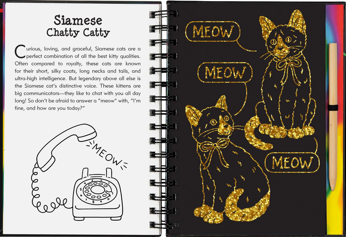 Peter Pauper Scratch & Sketch - Kittens