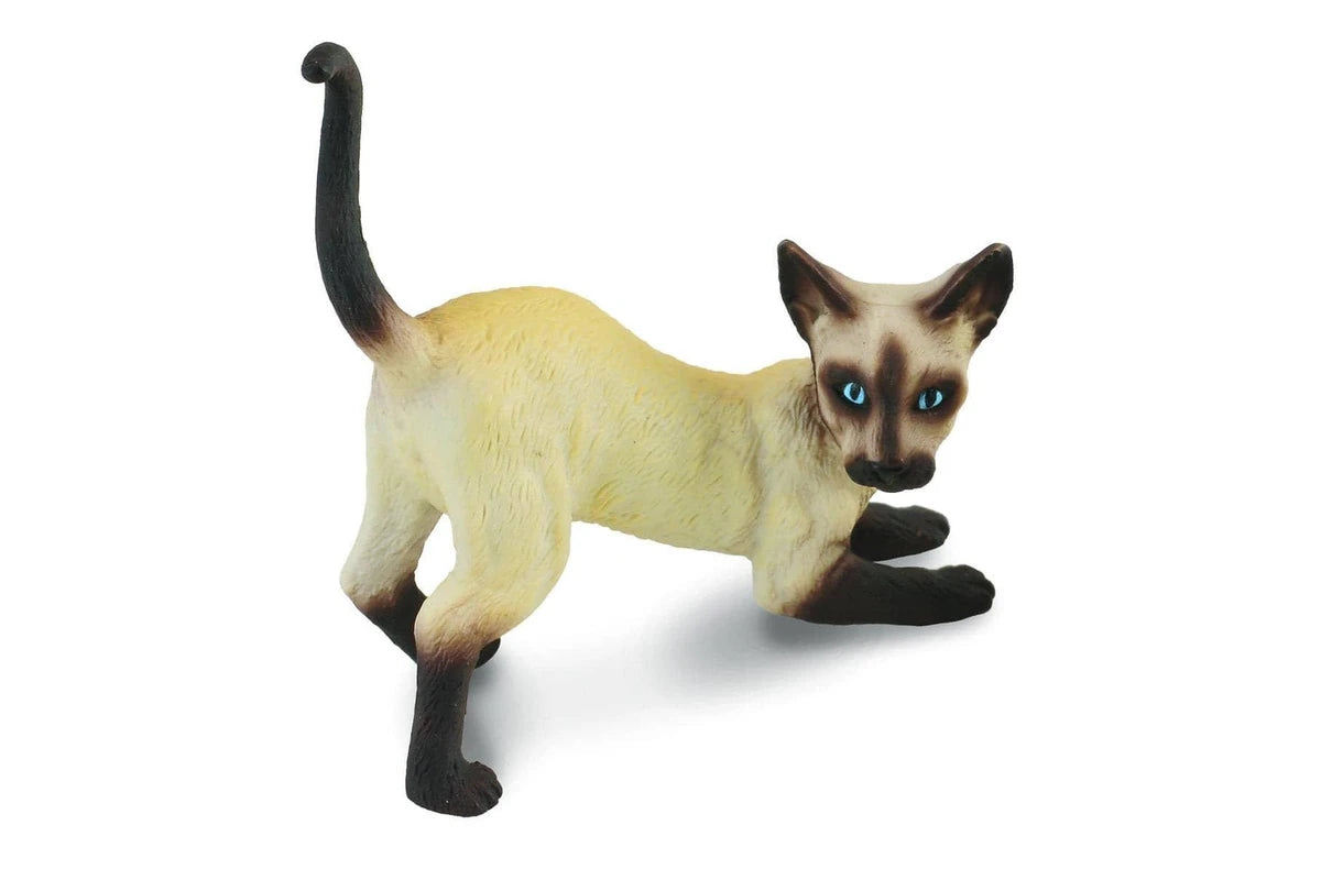 CollectA - Siamese Cat stretching - Timbertime Toys