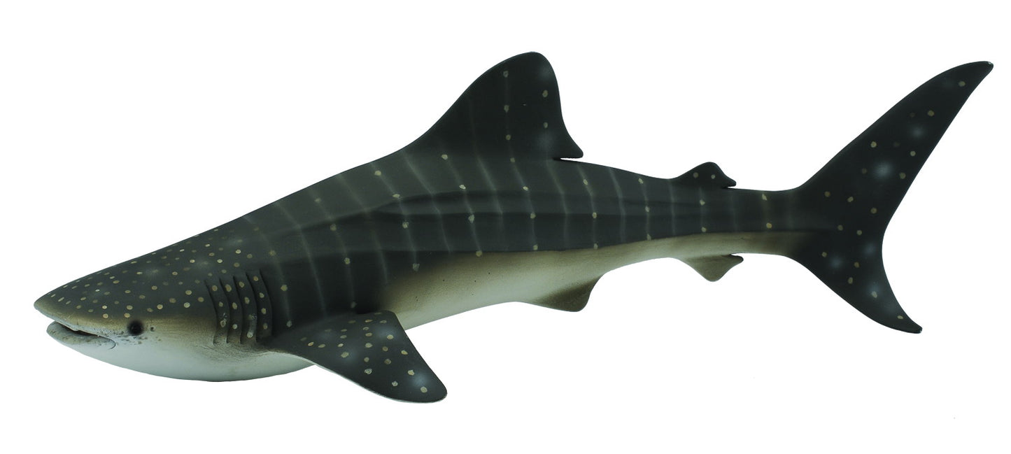 CollectA - Whale Shark - Timbertime Toys