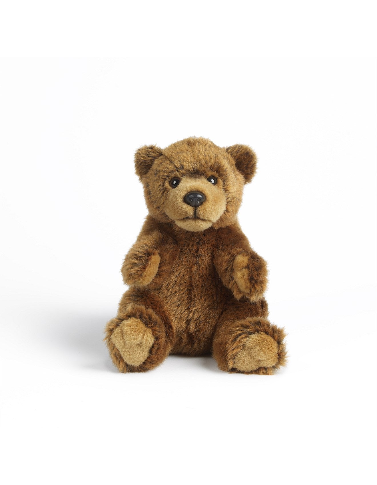 Living Nature - Brown Bear