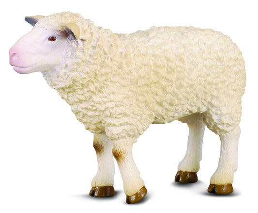 Collecta - Sheep - Timbertime Toys