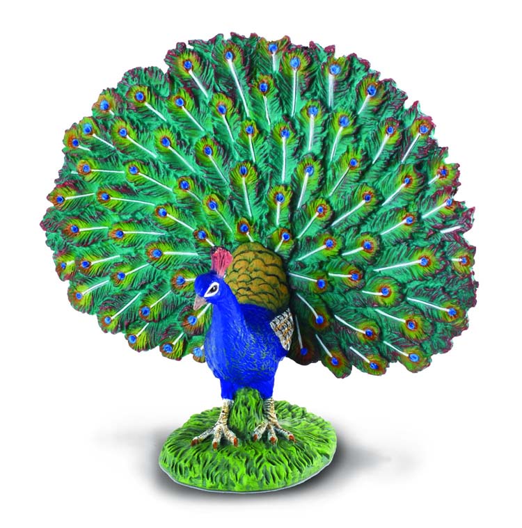 CollectA - Peacock - Timbertime Toys