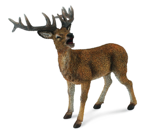 CollectA - Red Deer Stag - Timbertime Toys