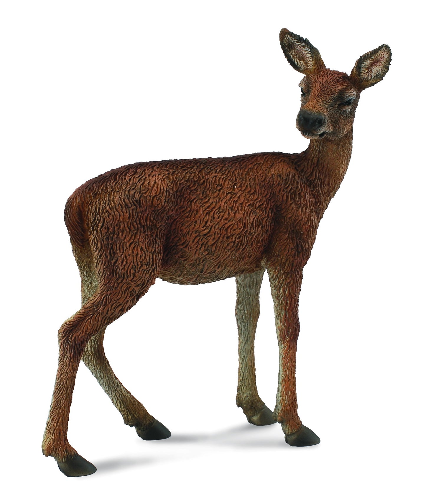 CollectA - Red Deer Hind - Timbertime Toys