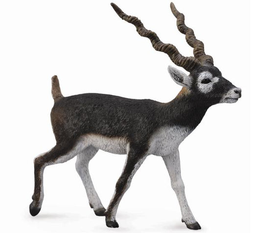 CollectA - Blackbuck - Timbertime Toys