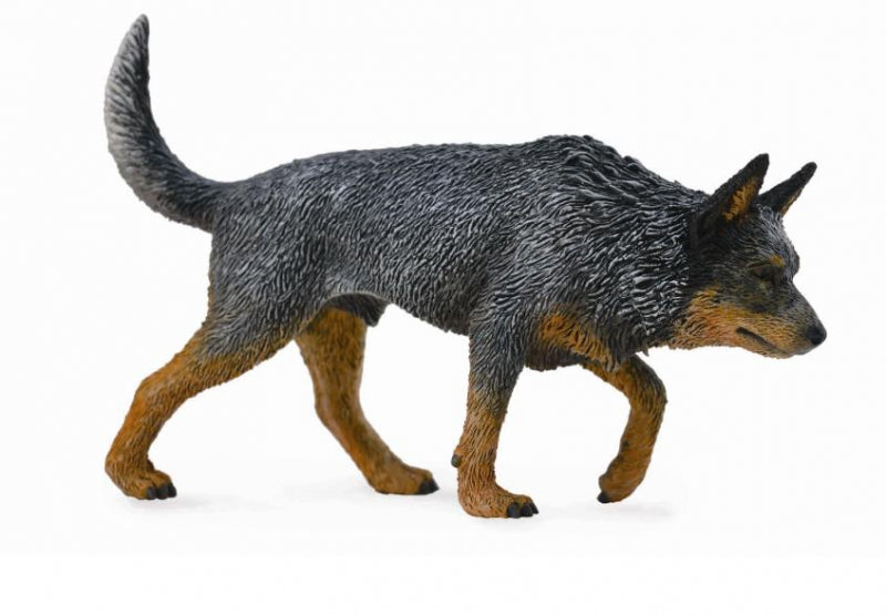 CollectA - Australian Cattle Dog