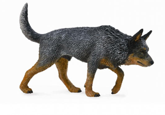 CollectA - Australian Cattle Dog