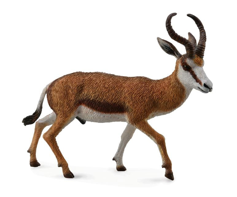 CollectA - Springbok - Timbertime Toys