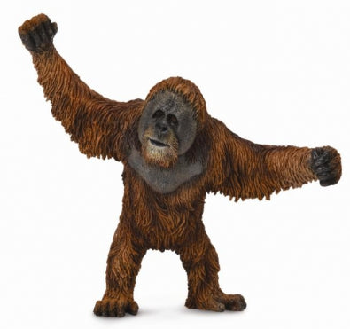 CollectA - Orangutan - Timbertime Toys