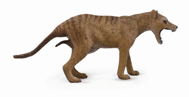 CollectA - Thylacine (Tasmanian Tiger) Female