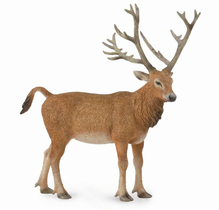 CollectA - Pere David's Deer - Timbertime Toys