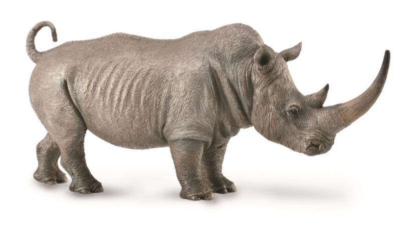 CollectA - White Rhinocerous - Timbertime Toys