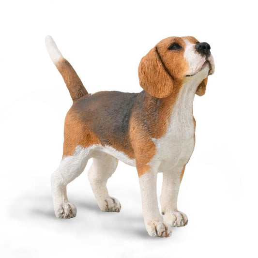CollectA - Beagle