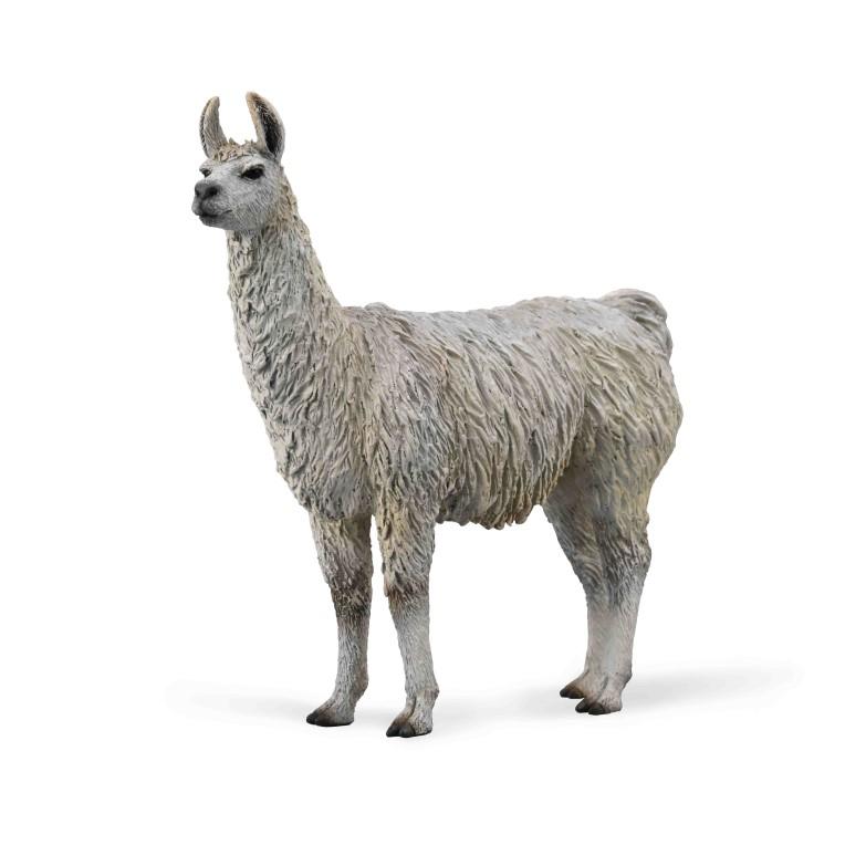 CollectA - Llama - Timbertime Toys