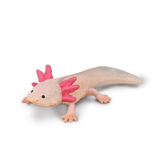 CollectA - Axolotl