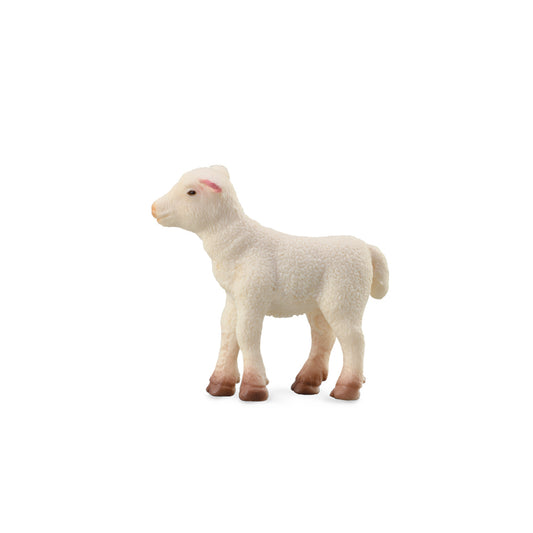 Collecta - Lamb Standing - Timbertime Toys
