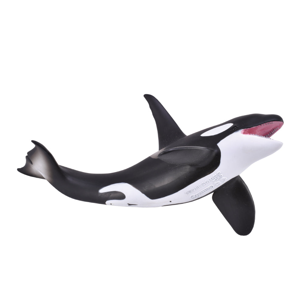 CollectA - Orca Whale
