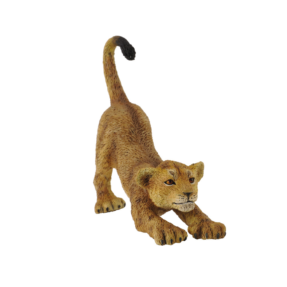 CollectA - Lion Cub Stretching - Timbertime Toys