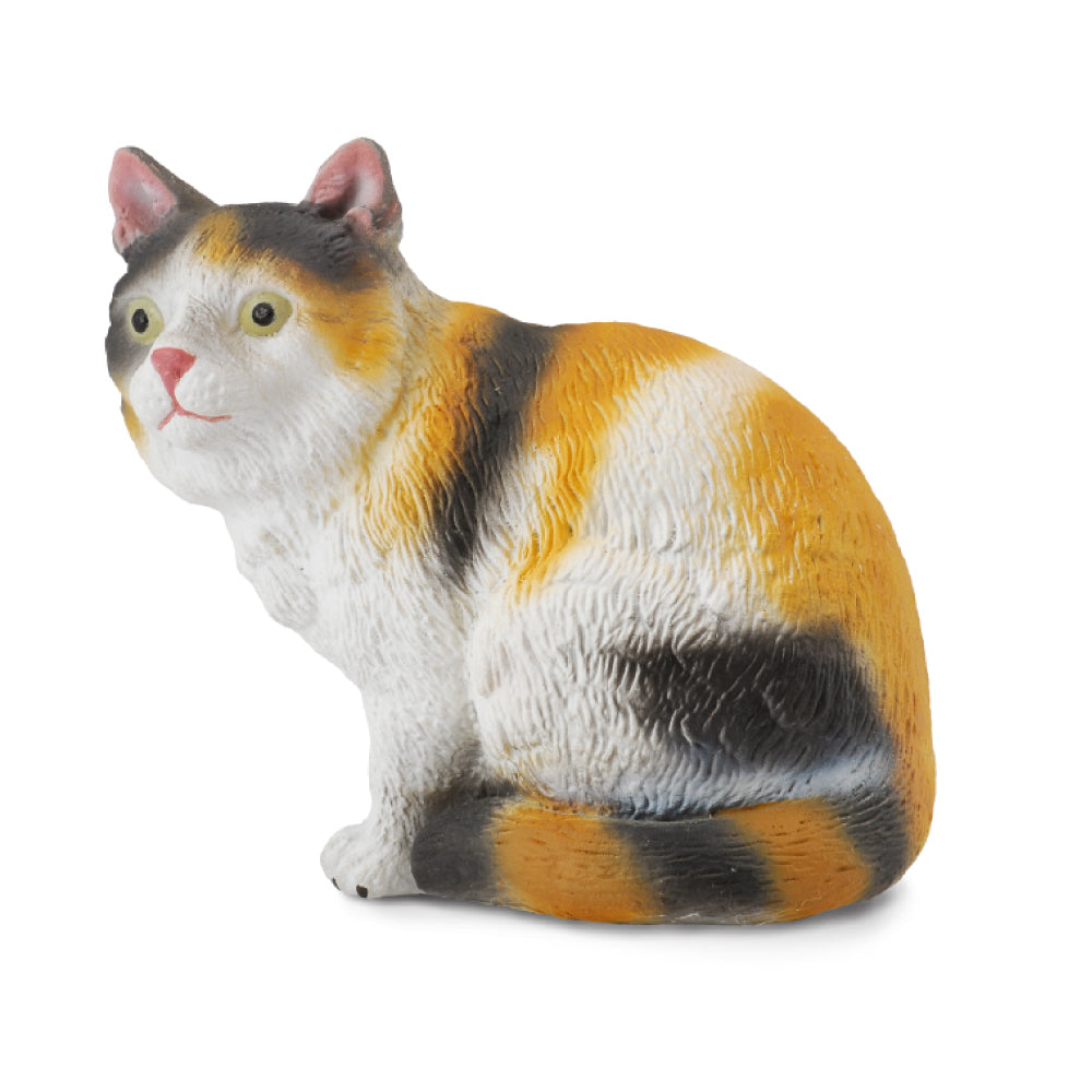 CollectA - Cat Moggy sitting