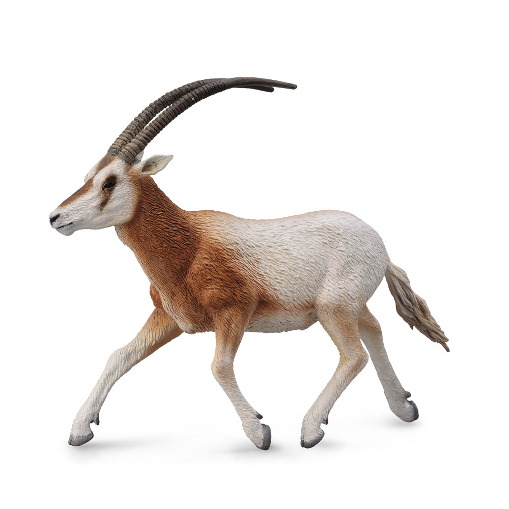 CollectA - Scimitar Horned Oryx - Timbertime Toys
