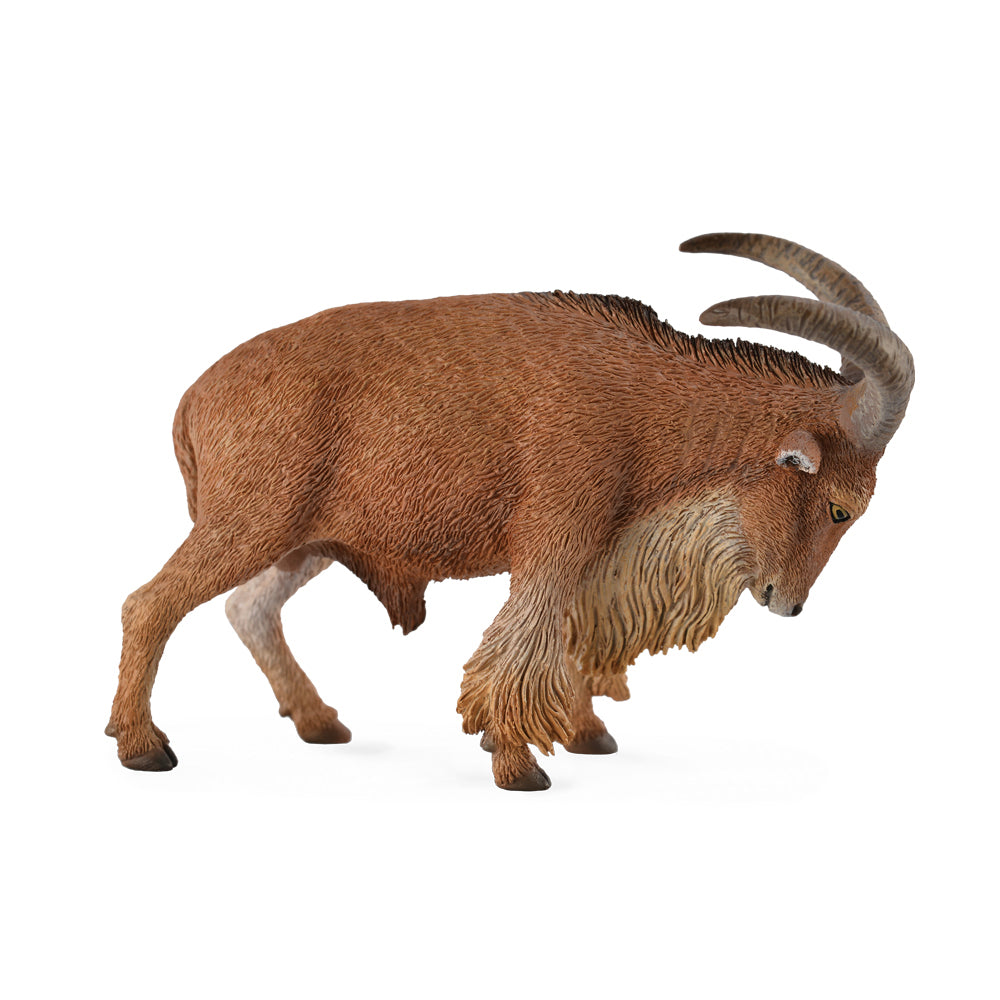 CollectA - Barbary Sheep - Timbertime Toys