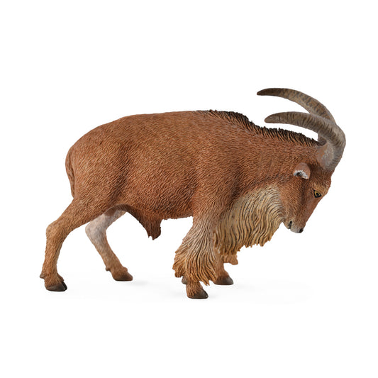 CollectA - Barbary Sheep - Timbertime Toys