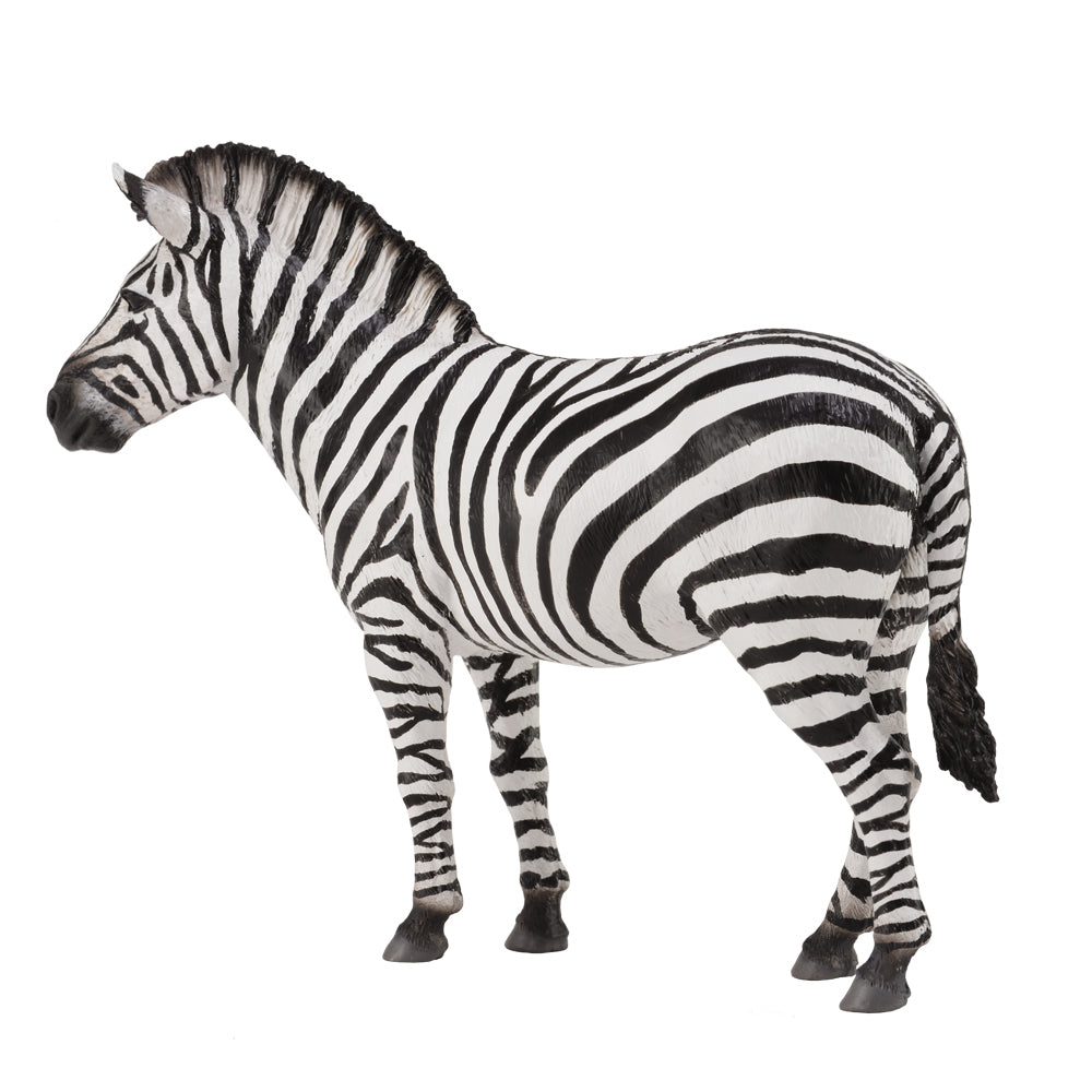 CollectA - Common Zebra - Timbertime Toys