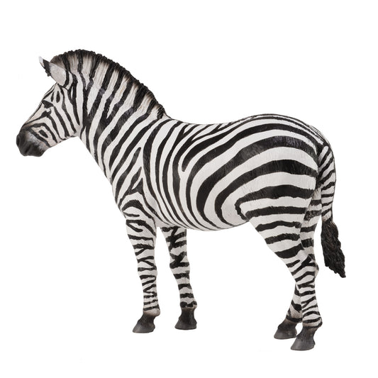 CollectA - Common Zebra - Timbertime Toys