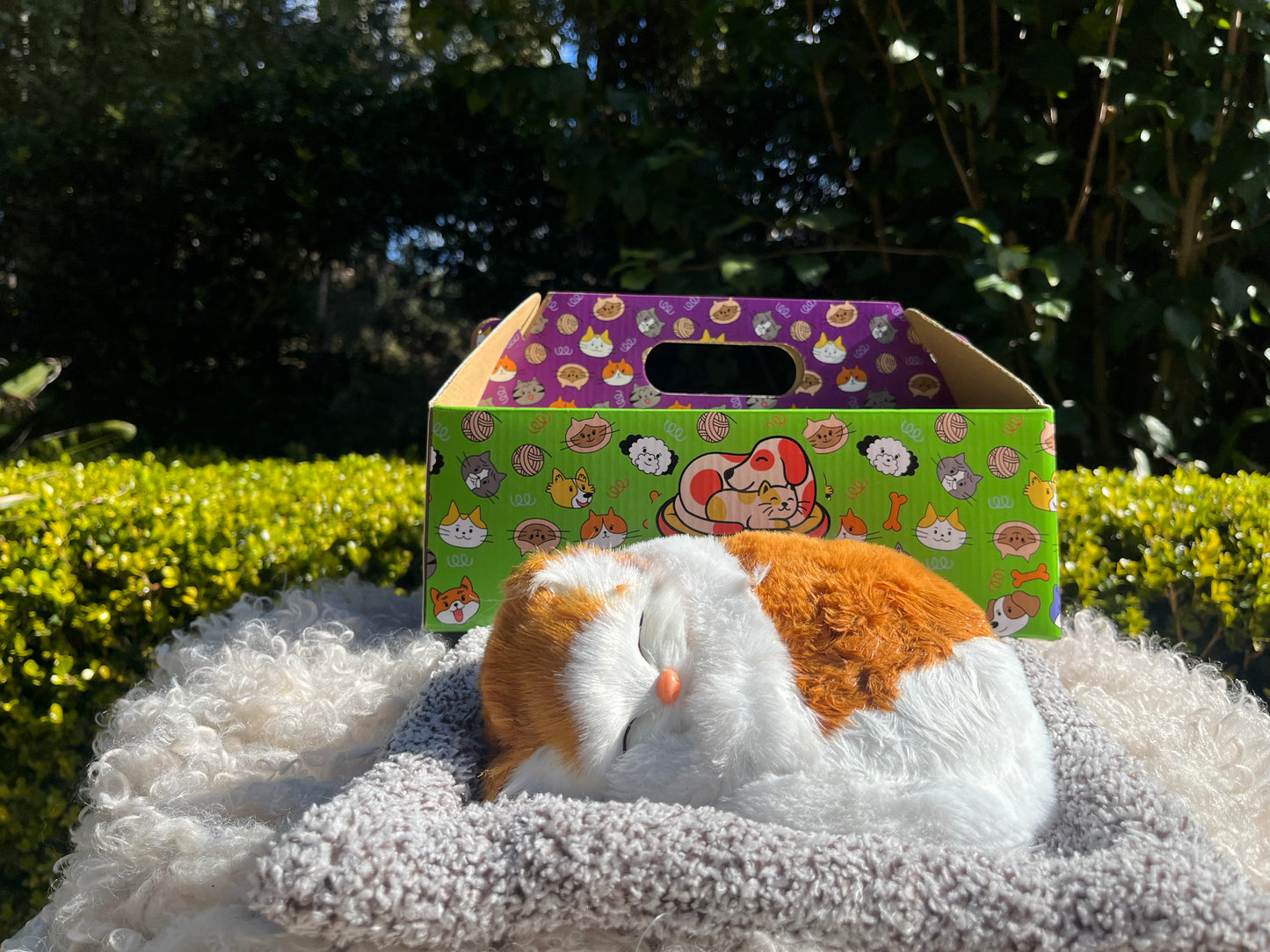 Sleepy Tails - Ginger Cat - Breathing