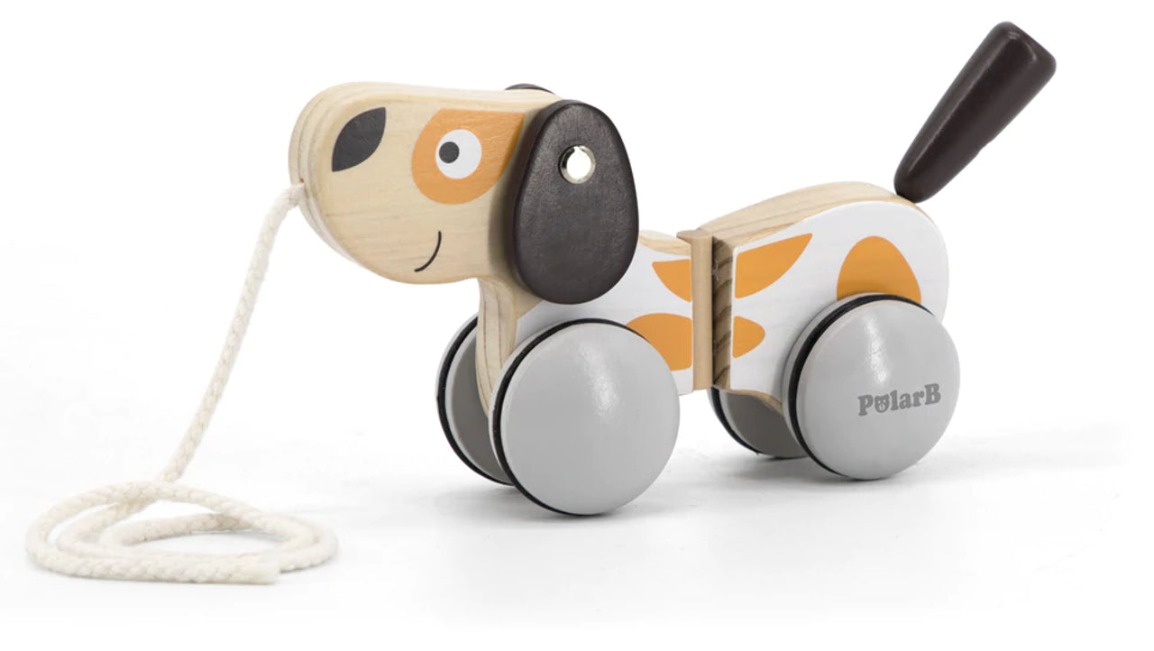 PolarB - Pull-A-Long Puppy - Timbertime Toys