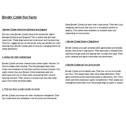 Sleepy Tails - Border Collie - Breathing