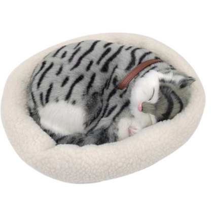 Sleepy Tails - Breathing - Grey Cat