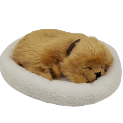 Sleepy Tails - Golden Retriever Breathing