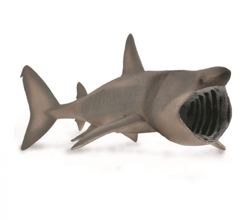 CollectA - Basking Shark - Timbertime Toys