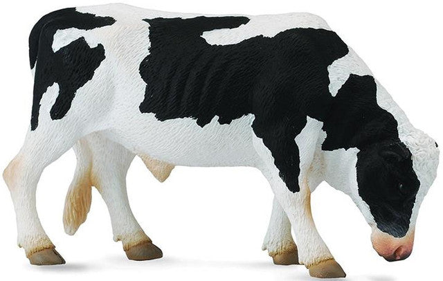 Collect A Friesian Bull