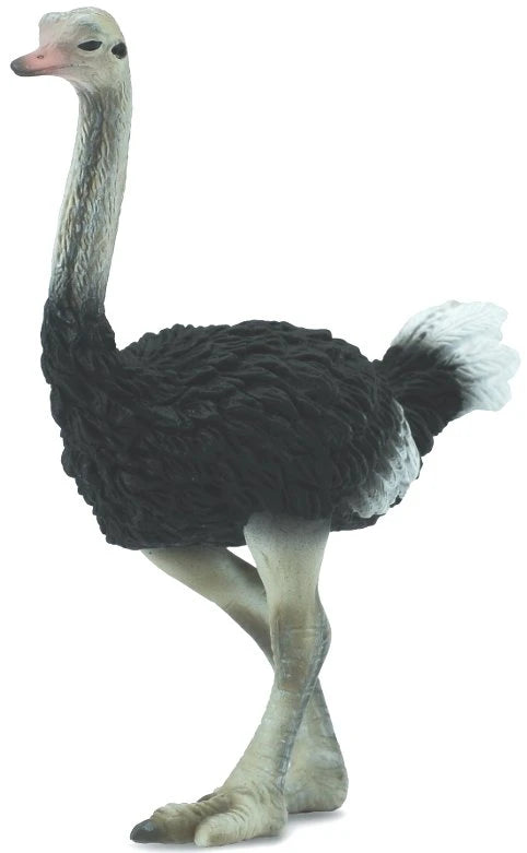 Collect A Animal Figurine - Ostrich