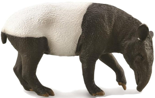 CollectA Animal Figurine - Malayan Tapir