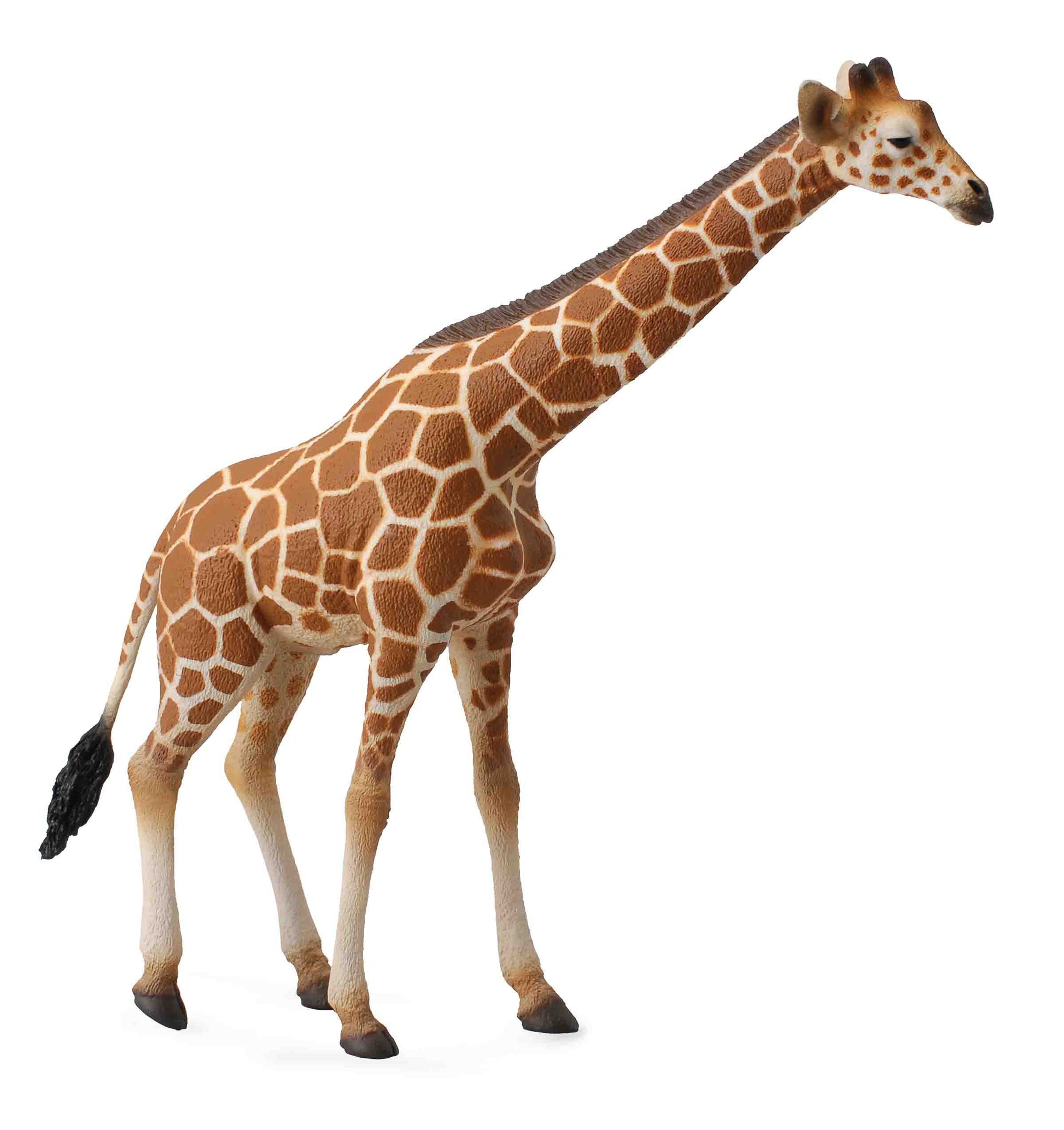 CollectA - Giraffe - Timbertime Toys