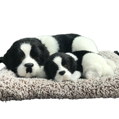 Sleepy Tails - Border Collie Mother and Baby