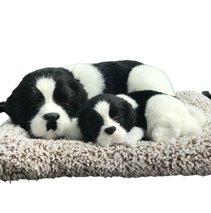 Sleepy Tails - Border Collie Mother and Baby