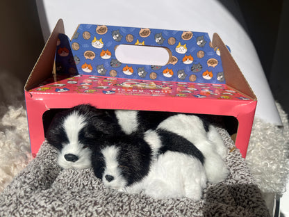 Sleepy Tails - Border Collie Mother and Baby
