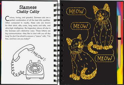 Peter Pauper Scratch & Sketch - Kittens